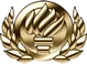 Master qualification badge