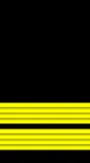 Warrant Officer insignia